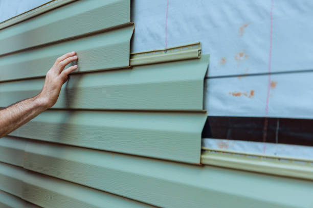 Best Siding Painting and Refinishing  in Chatfield, MN